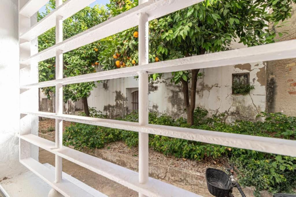 La Casa De Los Arcos - Casco Historico - Parking Opcional เฮเรซ เด ลาฟรอนเตรา ภายนอก รูปภาพ